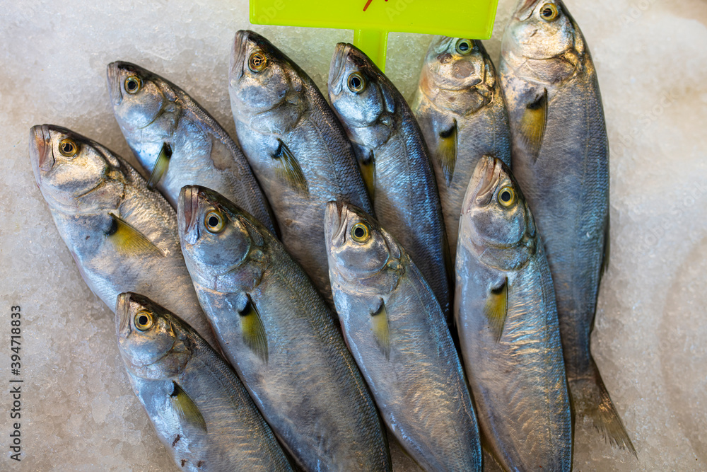 Fototapeta premium Fresh fish on ice. Sale at farmers market, fresh fish in supermarket. Open showcases of the seafood market. 