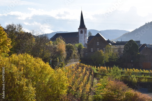 buntes Moseltal bei Bruttig-Fankel im Herbst photo