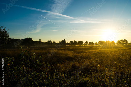 Fototapeta Naklejka Na Ścianę i Meble -  Sundown on a sunny morning on heather