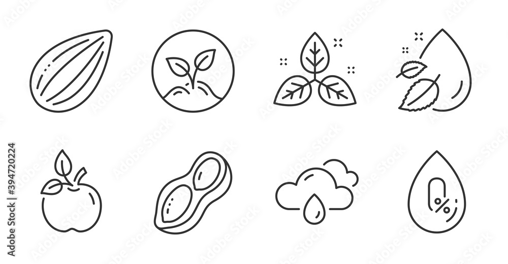 Almond nut, Peanut and Fair trade line icons set. Rainy weather, No alcohol and Startup signs. Eco food, Water drop symbols. Vegetarian food, Vegetarian nut, Leaf. Nature set. Vector