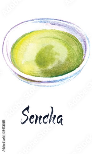 Illustration of Japanese tea, Sencha tea