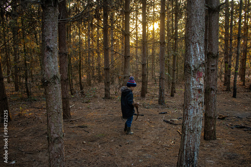 Boy exploring in the pine forest