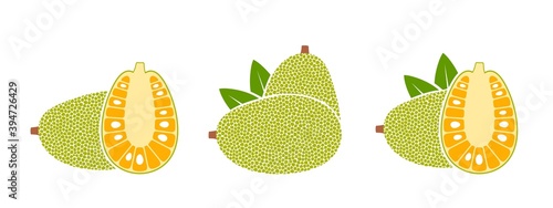 Jack fruit logo. Isolated jack fruit on white background