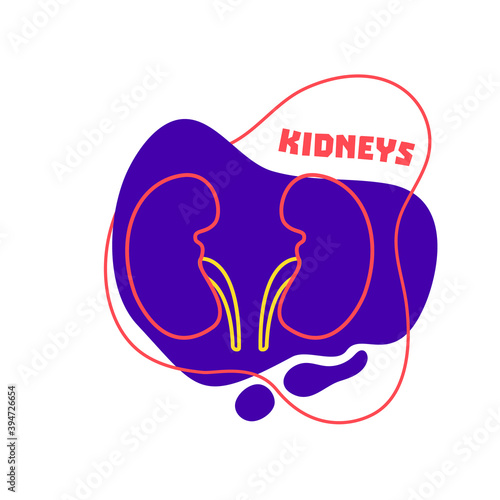 Kidneys urinary system body organ outline icon on abstract geometric splash. Human anatomy medical cartoon symbol. Vector illustration.