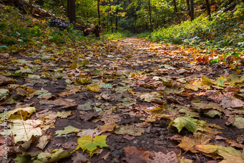 The Zhiguli Nature Reserve in the Middle volga region, Samara, Russia.