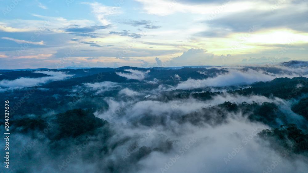 Aerial view of a tropical forest in the Amazon of Ecudor during sunrise