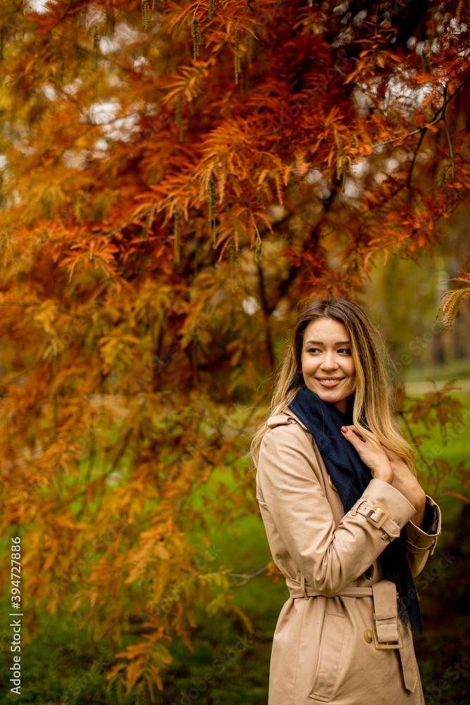 Beautiful young woman in autumn park Beautiful young woman in autumn park