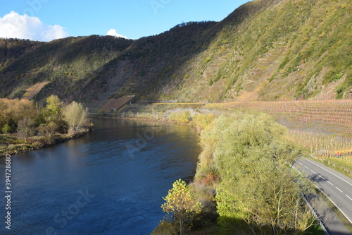 buntes Moseltal bei Bruttig-Fankel im Herbst photo