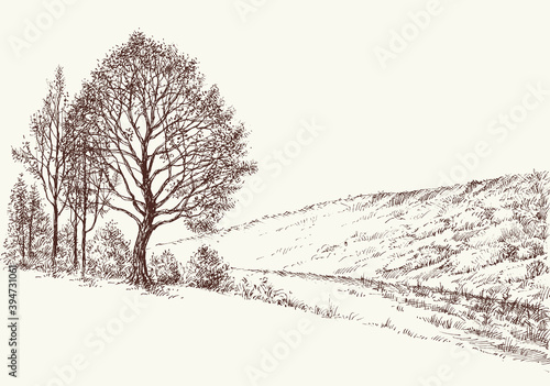 Trees on hills hand drawn landscape, beautiful nature image