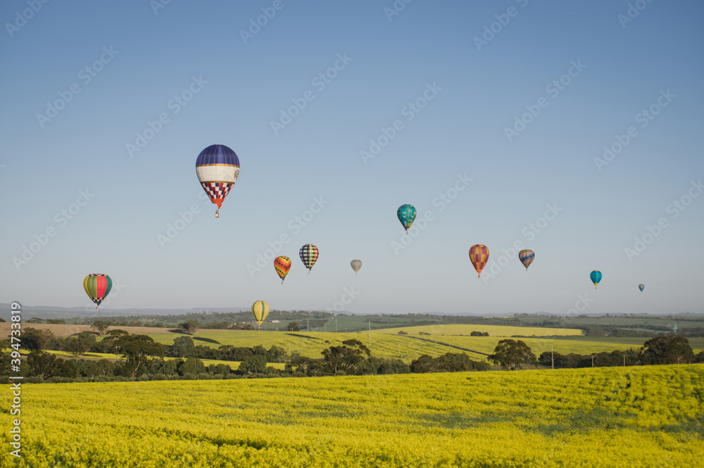 Hot air balloons over a flowering canola crop in the Avon Valley in Western Australia Stock
