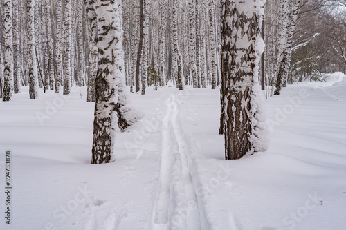 Winter landscape in Siberia, deep ski run in fresh snow on a snow-covered alley in the city park