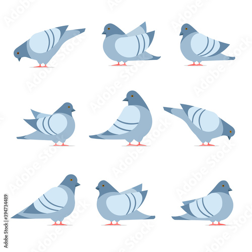 Pigeon cartoon icon set. Clipart image isolated on white background.