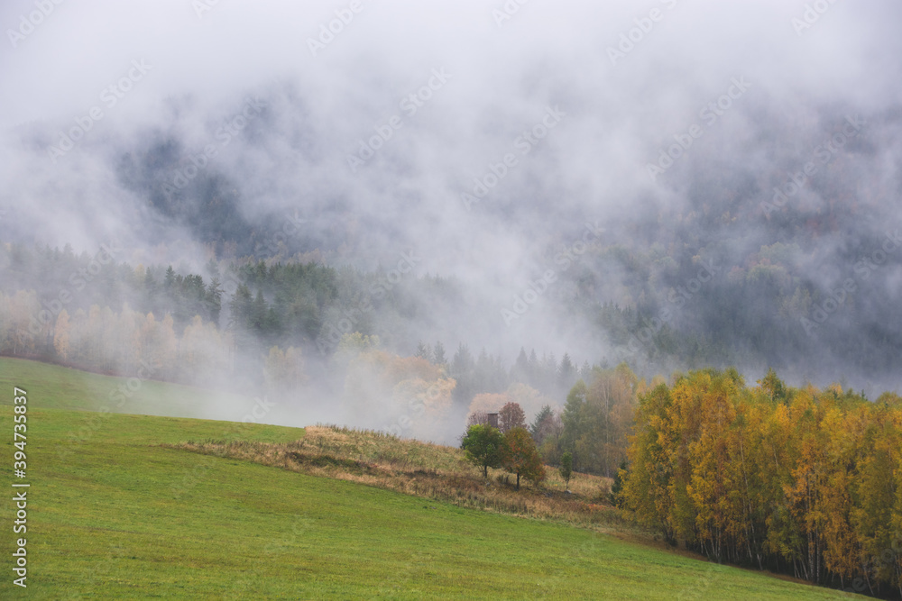Fog at the forest, Sumava national park, Czech republic