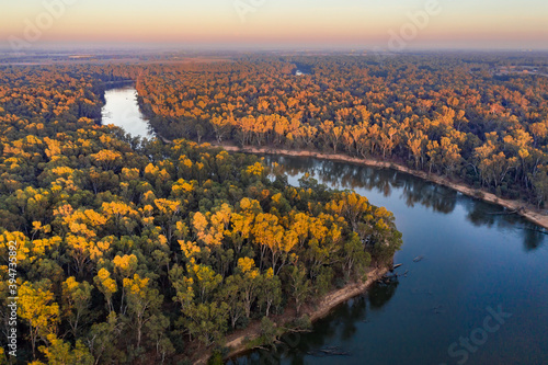 Aerial view of a bend in a river with gum trees lining the river banks. photo