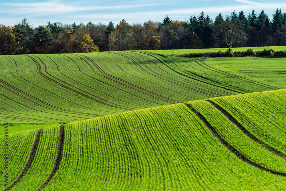 Feld im herbstlichen Kraichgau