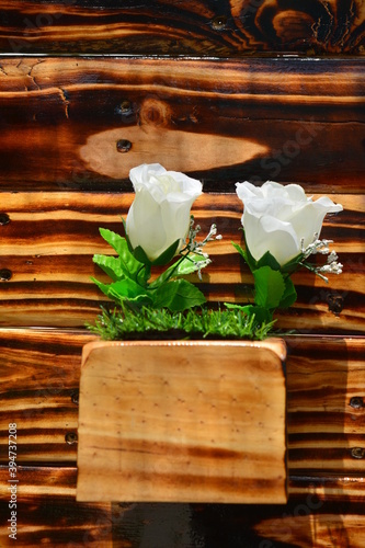 pretty white rose flower with beautiful wood background