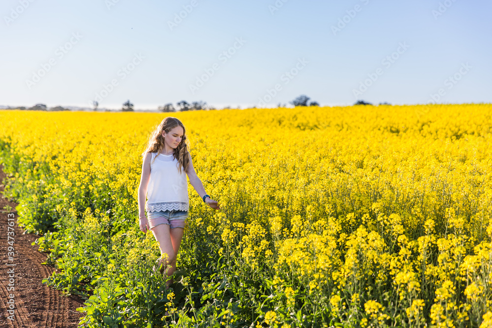 Teenager walking through canola crop on farm touching flowers Teenager walking through canola crop on farm touching flowers