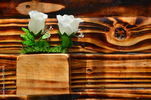 pretty white rose flower with beautiful wood background