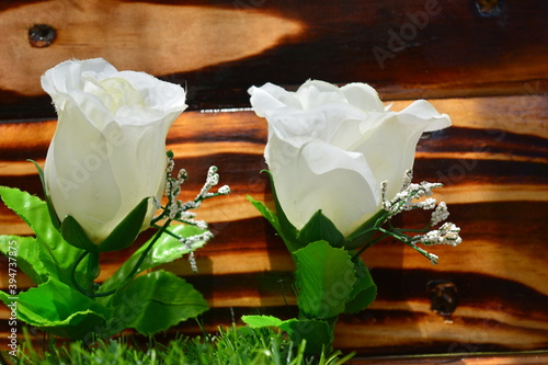 pretty white rose flower with beautiful wood background