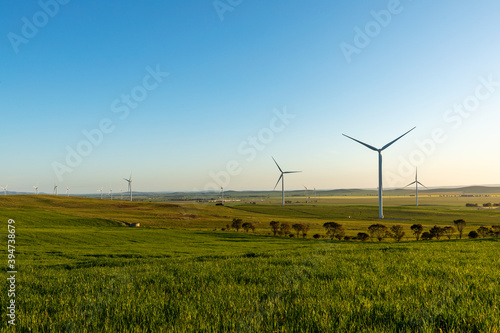 wind turbines in farm land in afternoon light photo