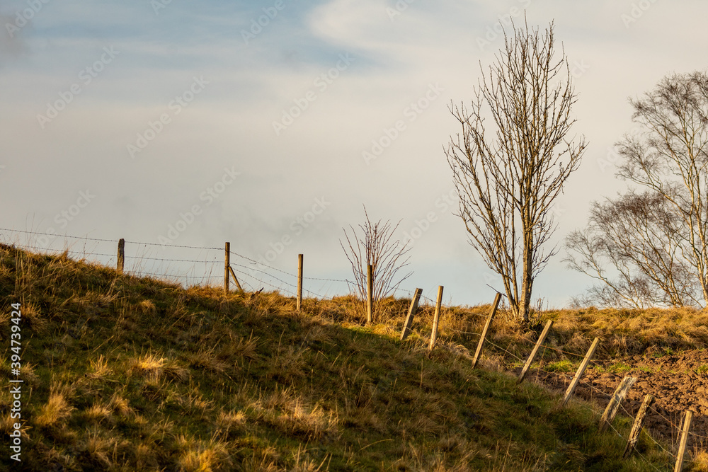 Barbed wire fence following the edge of a field. Morning sun is lighting the scene Barbed wire fence following the edge of a field. Morning sun is lighting the scene