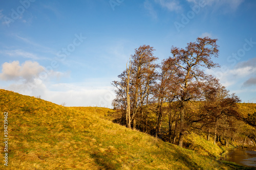 Farmland with roling hills and oak trees against a blue sky by a river. Morning sun lights the scene with warm colors