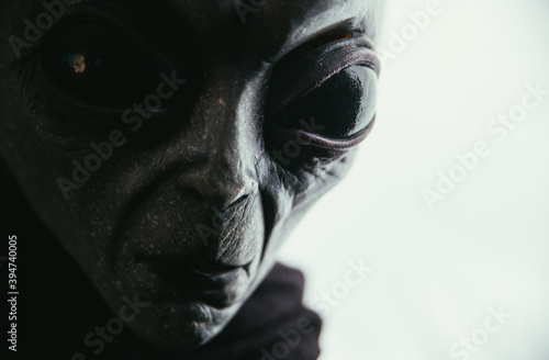 Obraz na plátně Alien creature has a message for humans