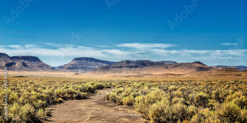 Panoramic Image of Lunar Volcano National Monument photo