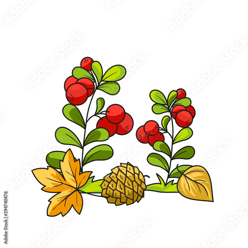 Fototapeta Naklejka Na Ścianę i Meble -  Autumn composition with Lingonberries. Vector illustration in cartoon style. Isolated on a white background.