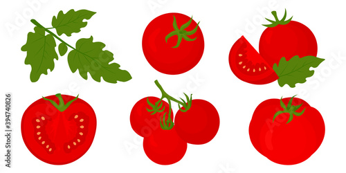 Red tomato set with whole and half tomatoes isolated on white background vector illustration