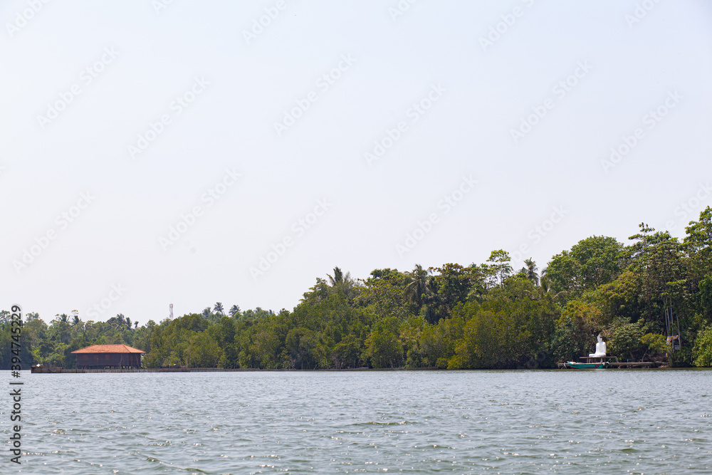 A wooden house stands above water in the jungle in a tropical forest.