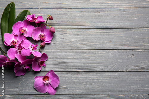 Beautiful orchid flowers on wooden background