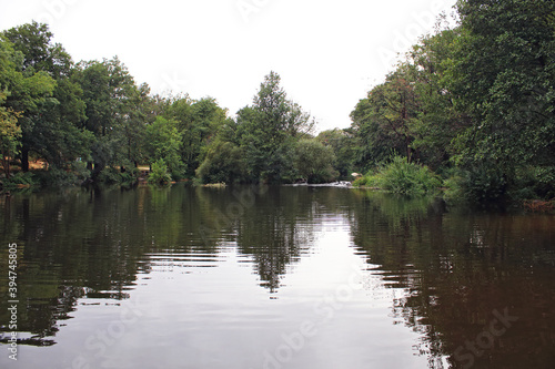 Forest landscape with lake a cloudy day