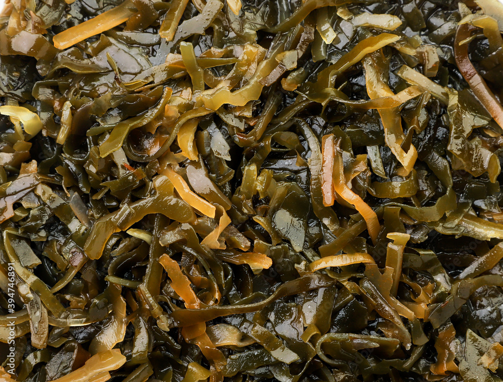 Seaweed salad close-up, kelp background. The view from top