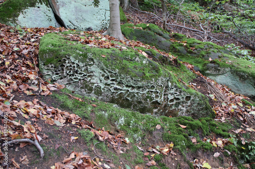 Die Teufelsmauer in Blankenburg photo