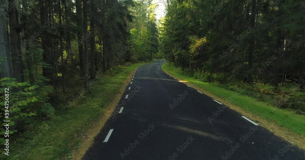 Curvy winding asphalt country road in green sunny forest pov shot Curvy winding asphalt country road in green sunny forest pov shot