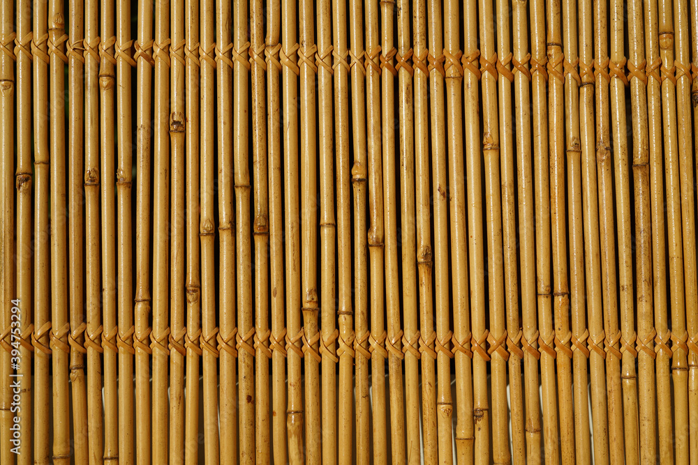 Wall of bamboo. The texture of bamboo. The stems are tightly woven. Wall of bamboo. The texture of bamboo. The stems are tightly woven.