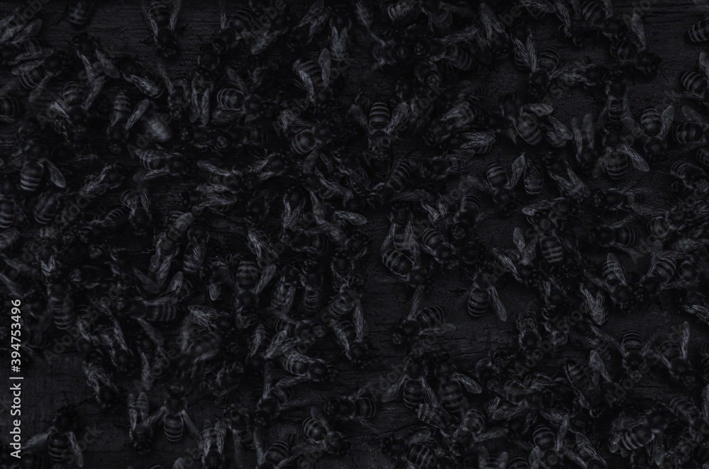Selective focus. Close up of bees. Swarm of bees Selective focus. Close up of bees. Swarm of bees