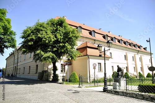 Gotycki Zamek Królewski w Niepołomicach w Małopolsce,  © Albin Marciniak