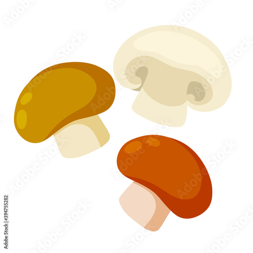 Champignon. Mushroom with a brown cap. Natural product from the forest. Eco-friendly food and Set of Delicacy.