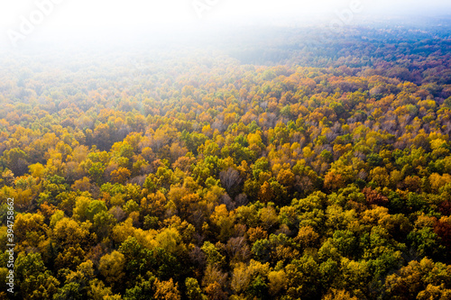 Aerial top down view of autumn forest with green and yellow trees. Mixed deciduous and coniferous forest. Beautiful fall scenery © netsay
