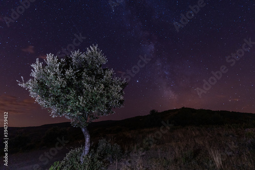 Night photography with a view of the stars, milky way and illuminated tree