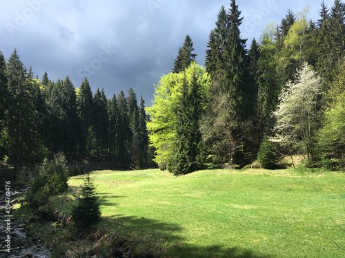 Schwarzwassertal photo