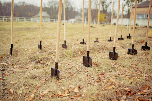Work finished Group of shovels after planting young trees in countryside. tree planting tags