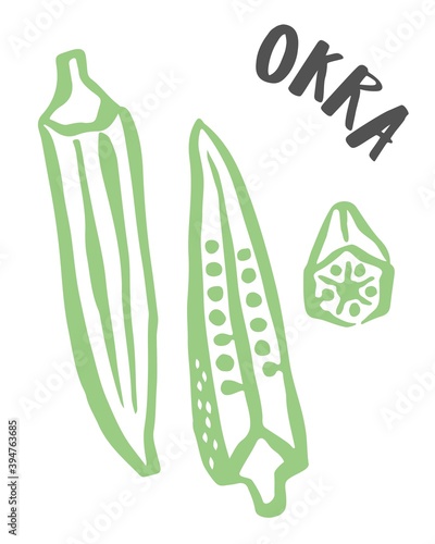 Okra hand painted with ink brush isolated on white background
