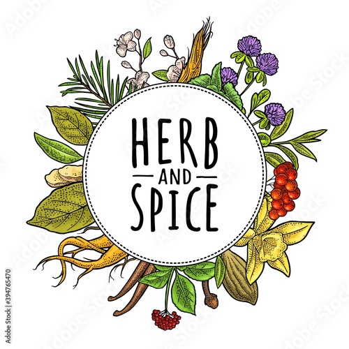 Circle shape with herb and spice engraving on white