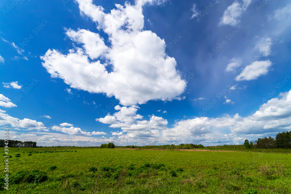 Countryside field natural background. Green grass and blue sky. Cloud scape in sunny day. Russia. Countryside field natural background. Green grass and blue sky. Cloud scape in sunny day. Russia.