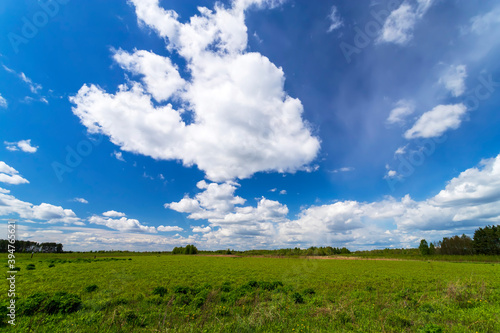 Countryside field natural background. Green grass and blue sky. Cloud scape in sunny day. Russia.