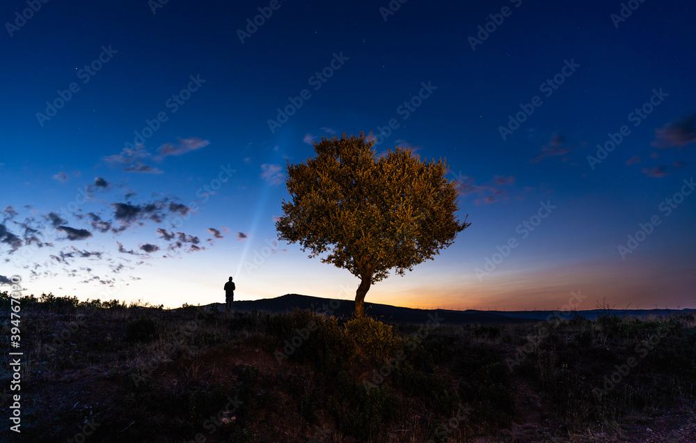 young boy illuminating the sky with a super-powerful flashlight, night photography with a view of stars and the glow of orange sunset on the mountain and illuminated tree in the evening