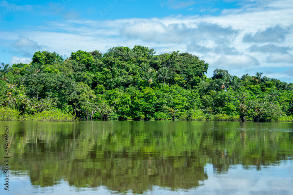 Ecuador, Cuyabeno National Park in the Amazonian Aeria. Trees grow in the water of the Lake and river.	